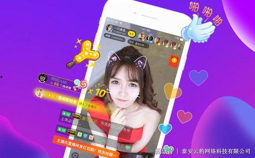 仙游今天爆料视频直播,今日热点事件深度解析  第1张