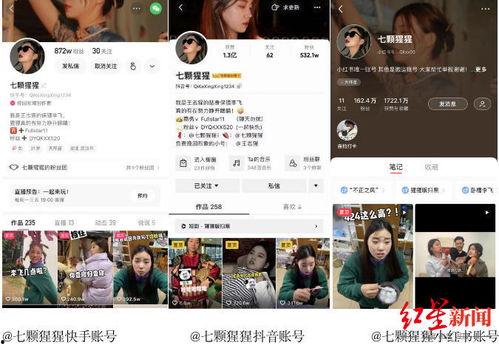 爆料段子系列视频大全,笑料百出，欢乐无限